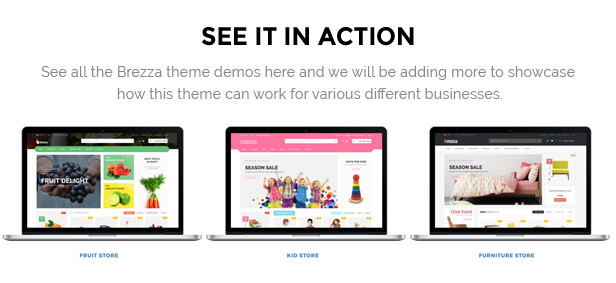 wordpress theme