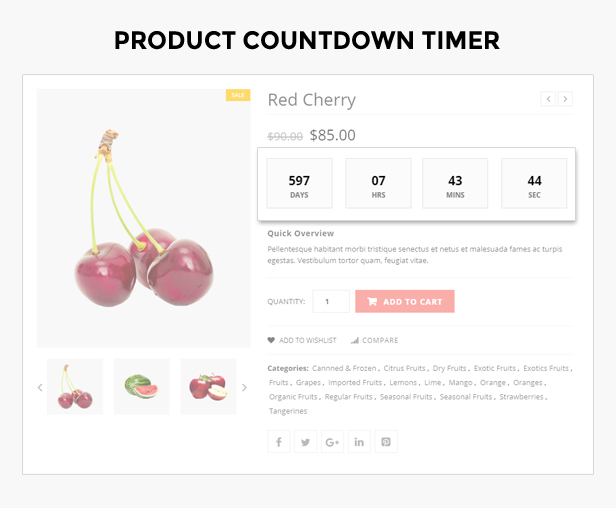 wordpress theme Fruits